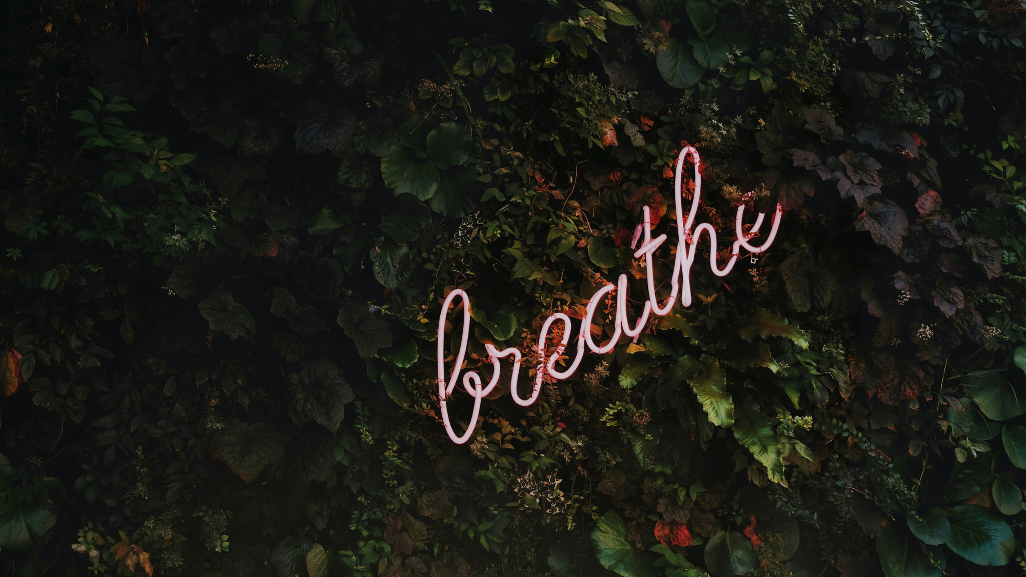 Don’t Forget to Breathe