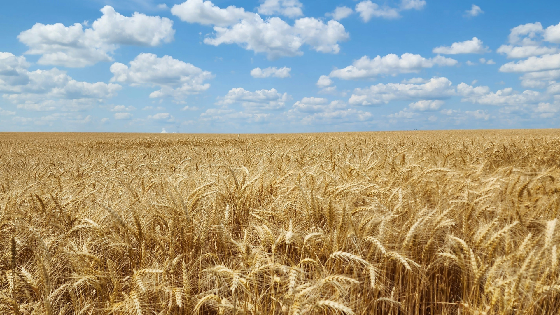 Is Abundance a Lucky Circumstance or a Choice That’s Always Available?