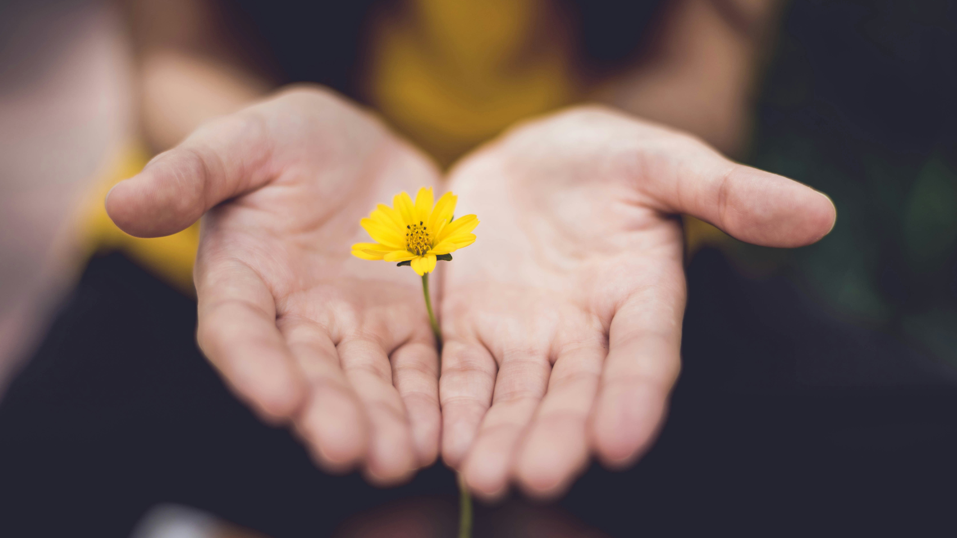 Using Anniversaries to Heal and Grow
