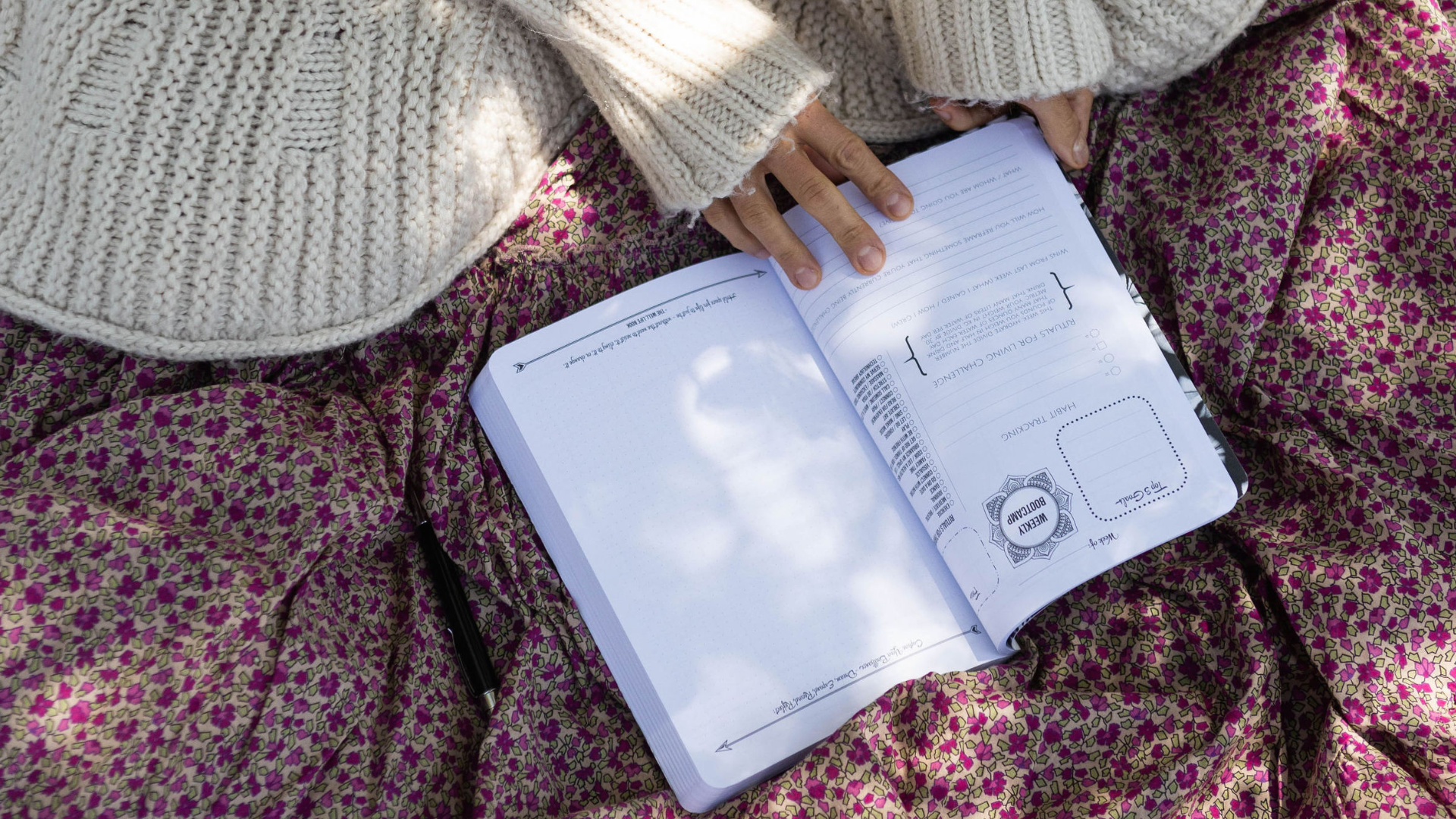 Level Up With The 2024 Dreambook + Planner