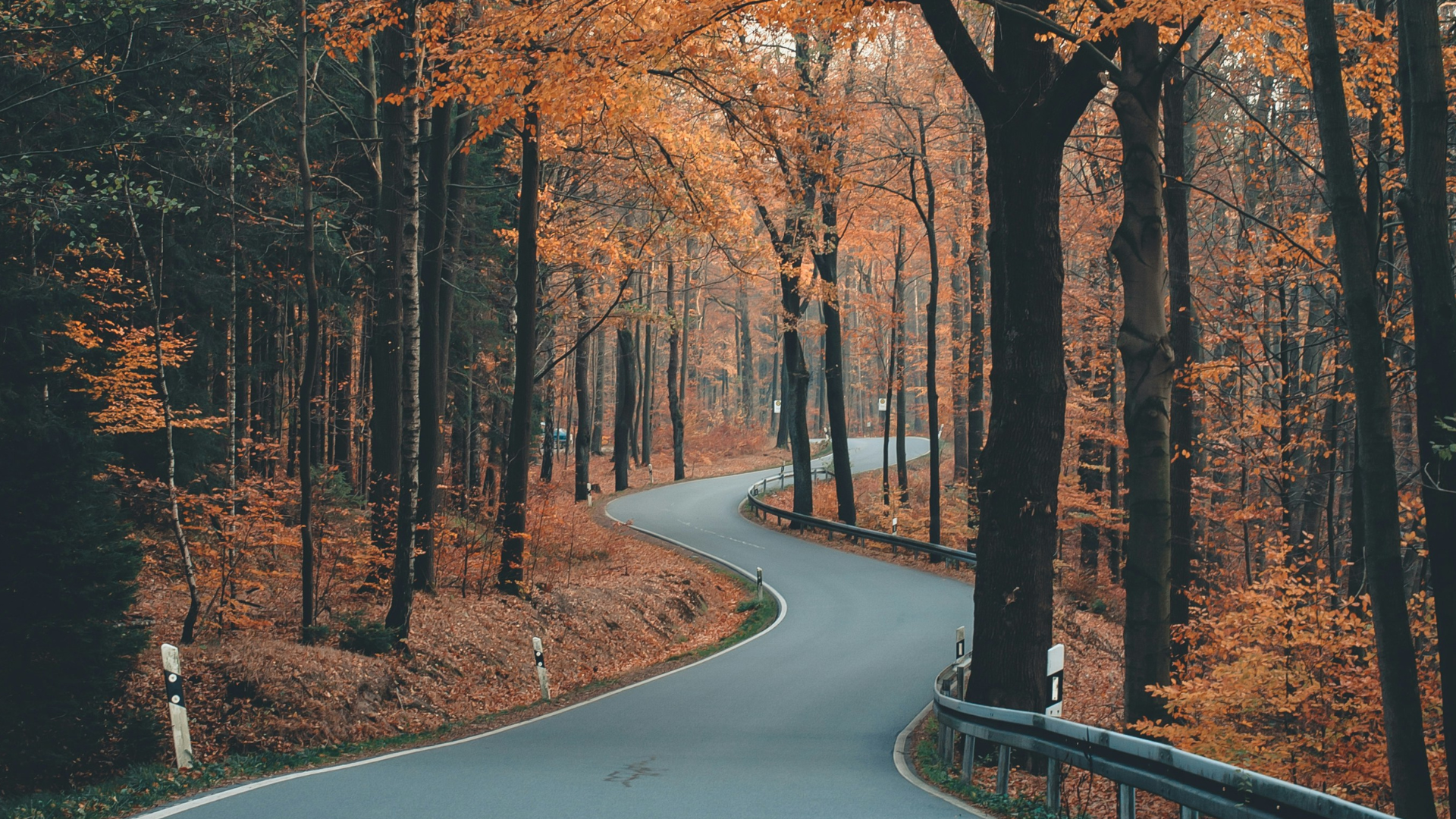 Why Set Goals