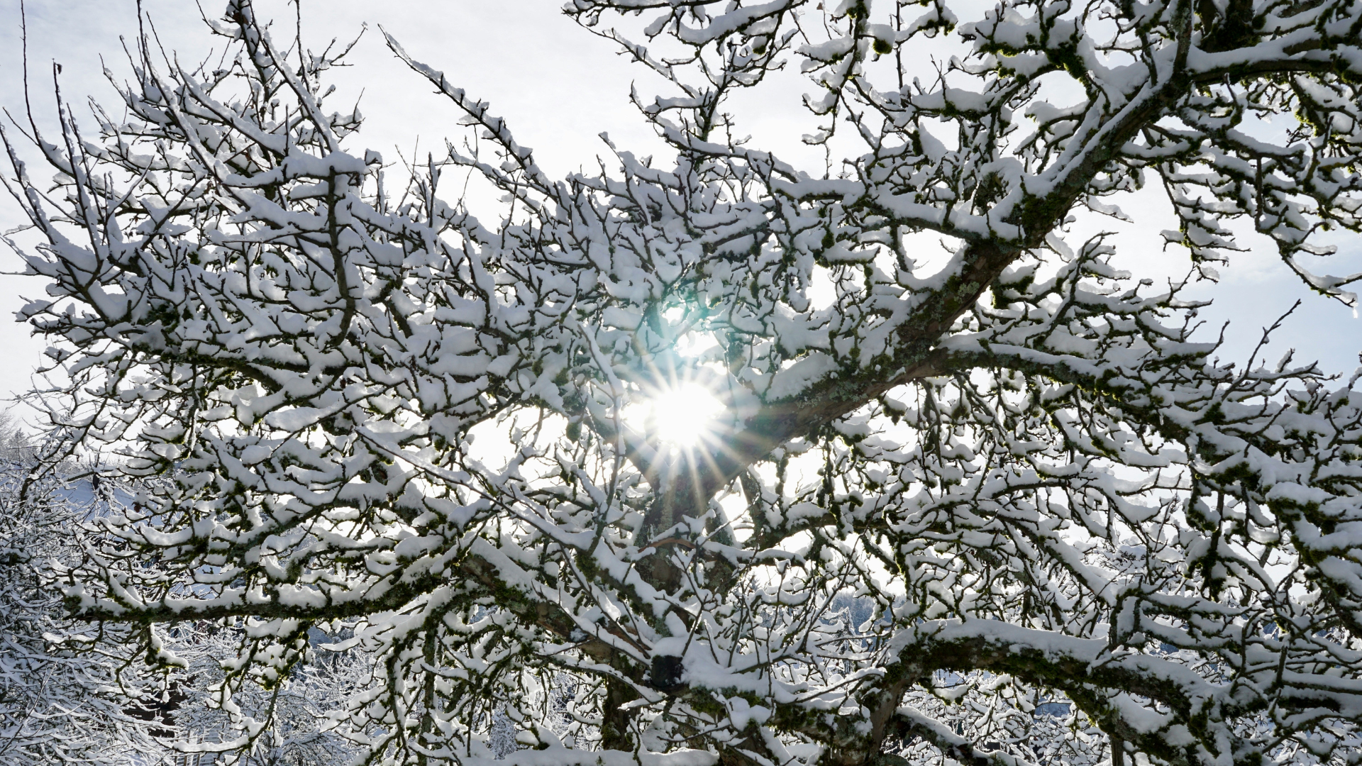 Winter Skin Survival Guide: Keeping Your Glow Alive