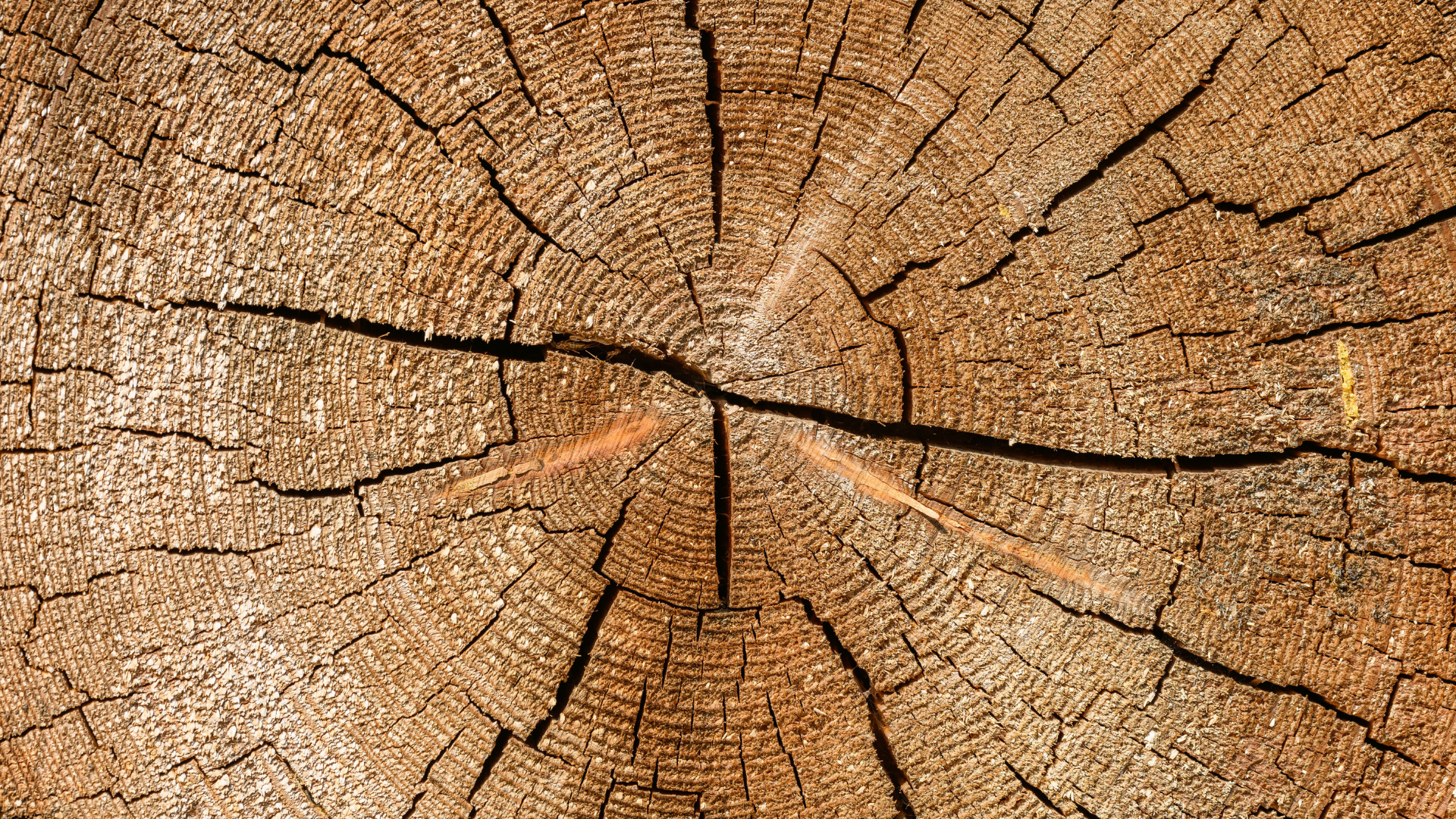 How to Have a Healthy Relationship With Anger