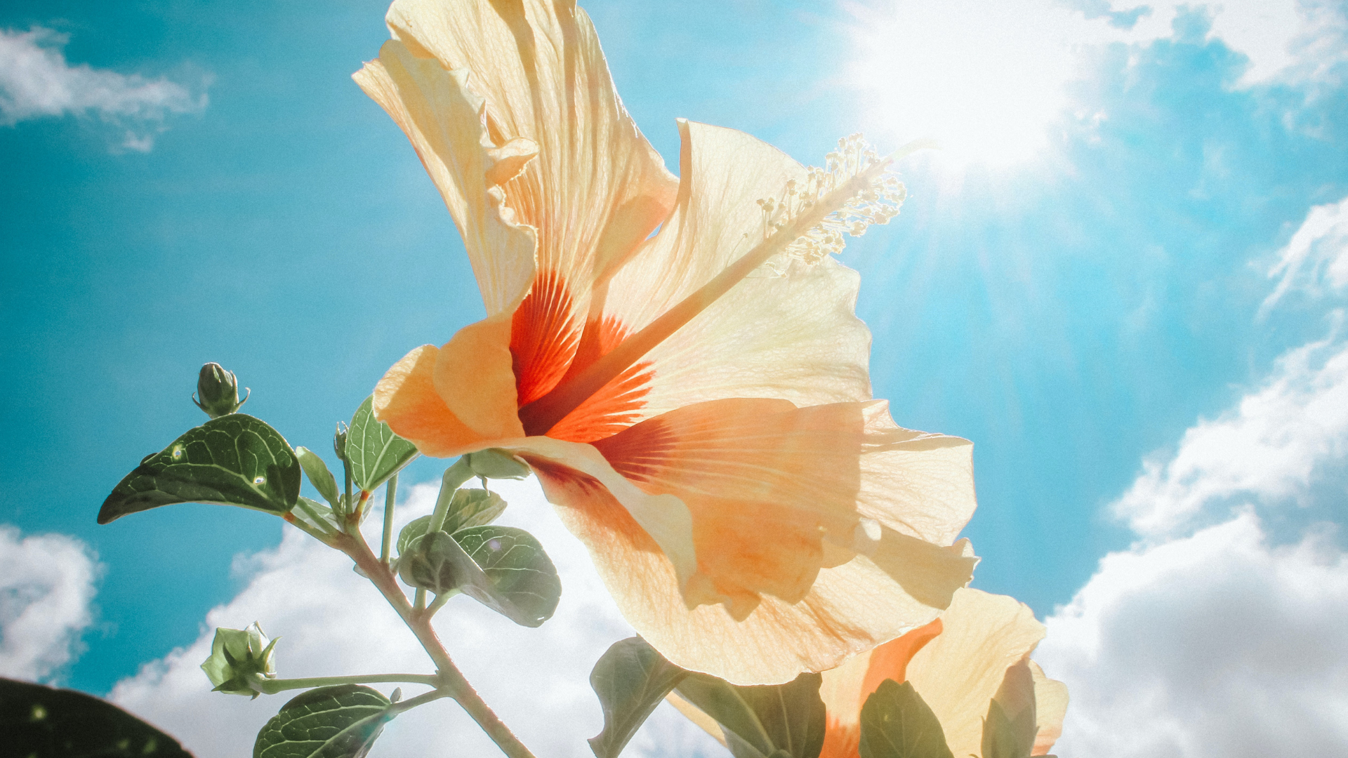 A Double Serving of Light