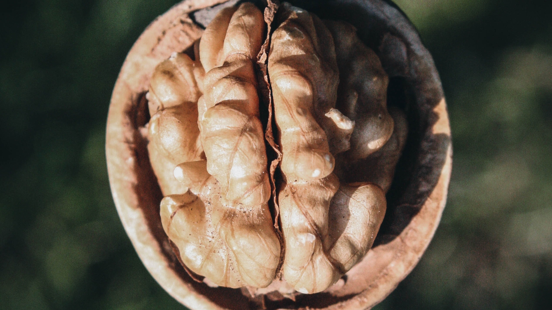 The Connection Between Eating and Mental Clarity