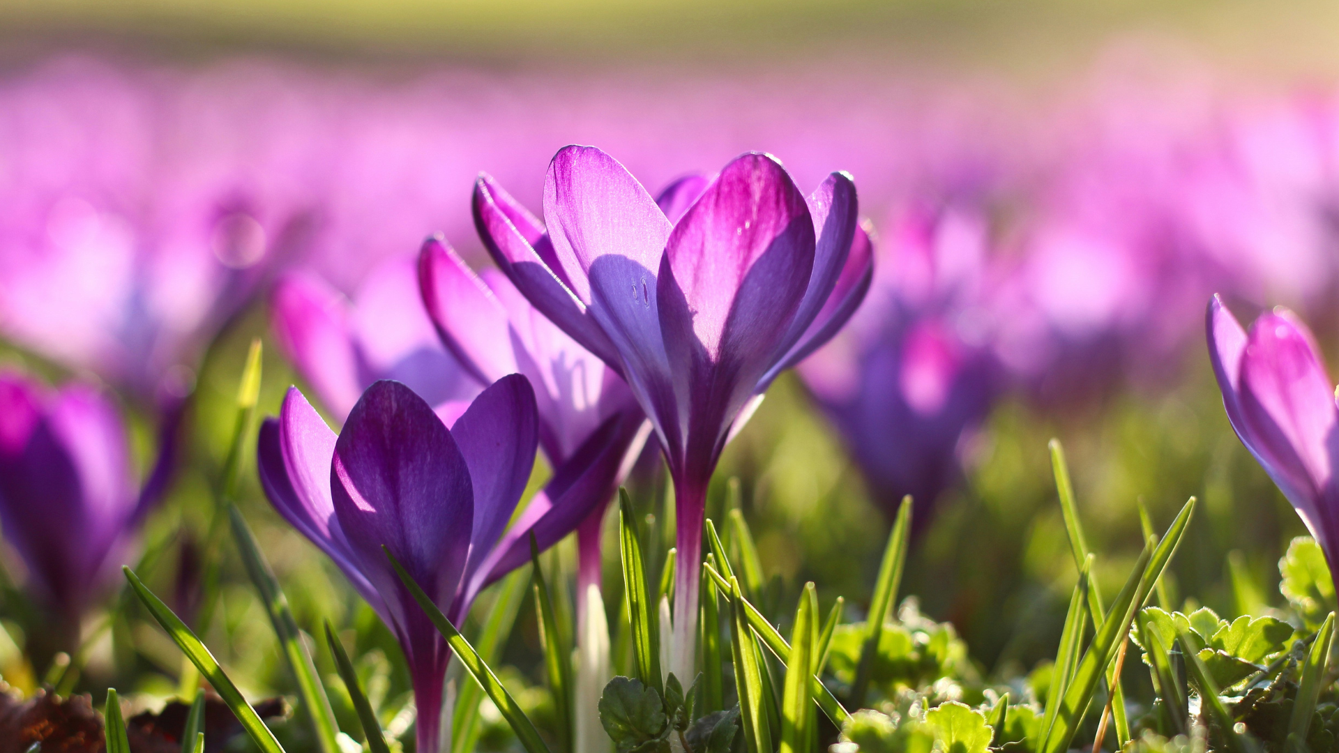 Harness the Power of the Spring Equinox