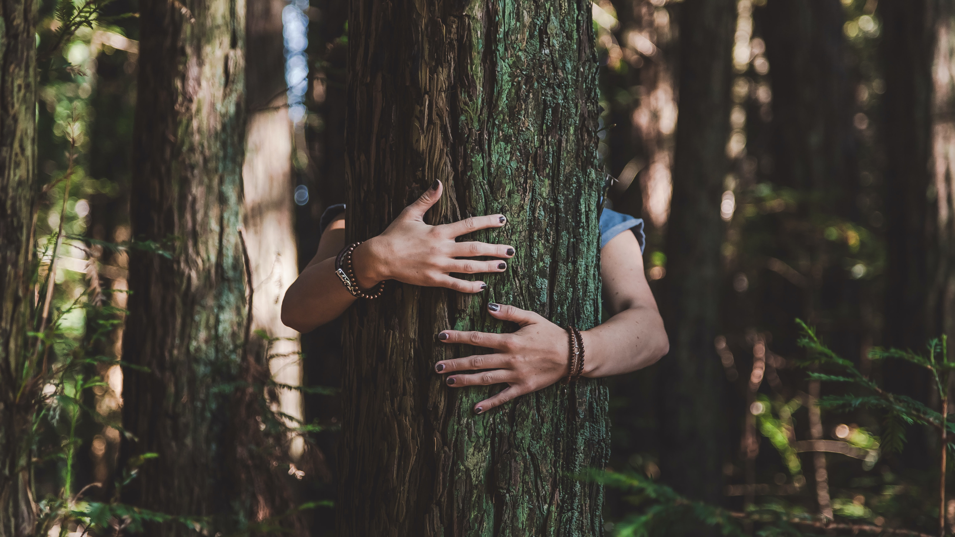 Fixing Our Relationship with the World and Ourselves