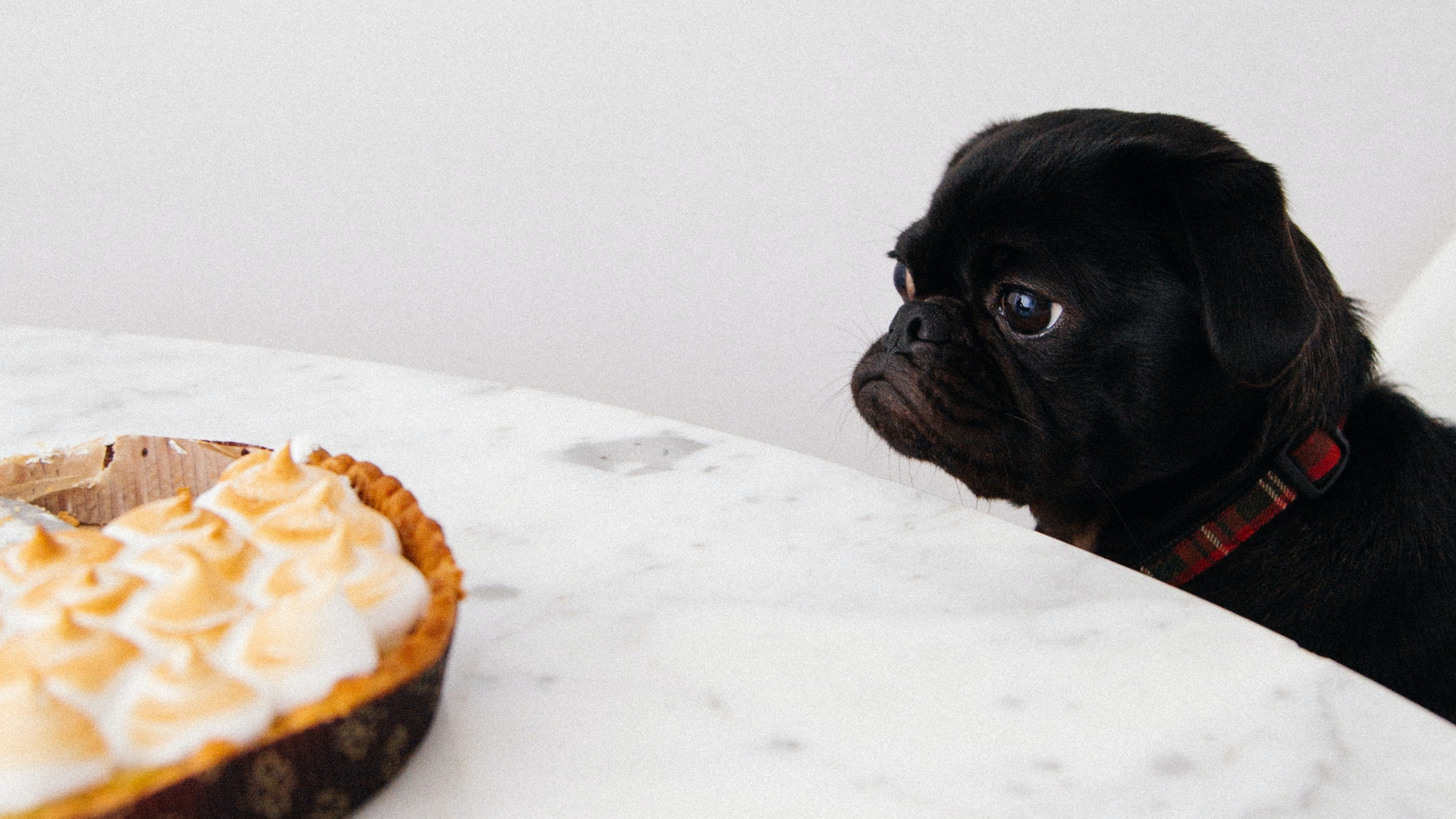 Seven Steps for Managing the Habit of Unhealthy Eating