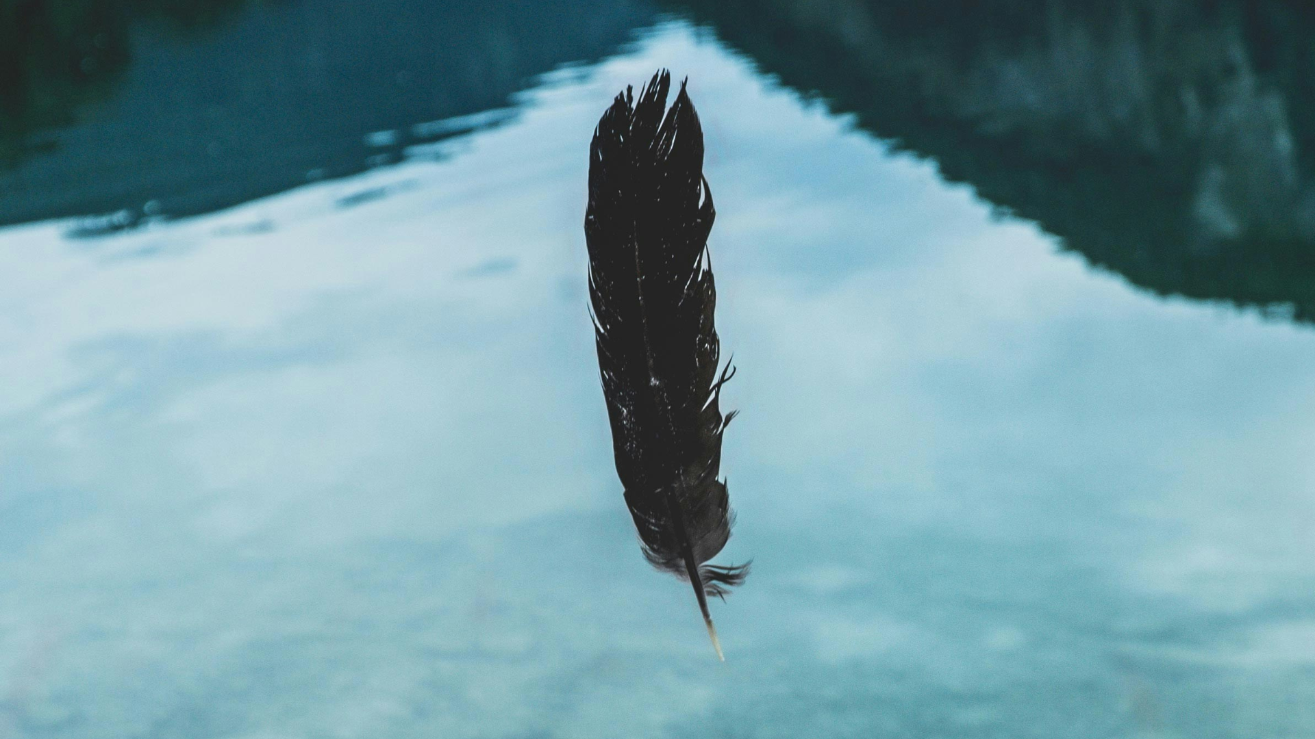 Every Hardship Is An Opportunity To Let Go