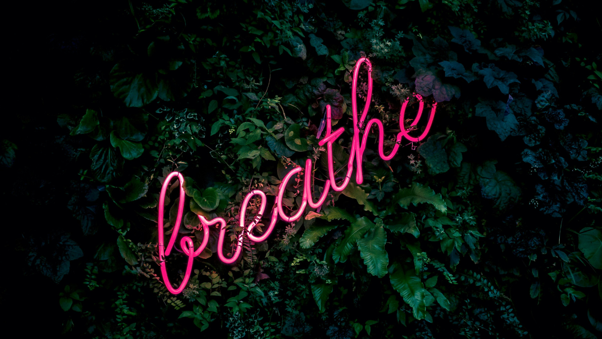 Six Steps for Quitting Smoking