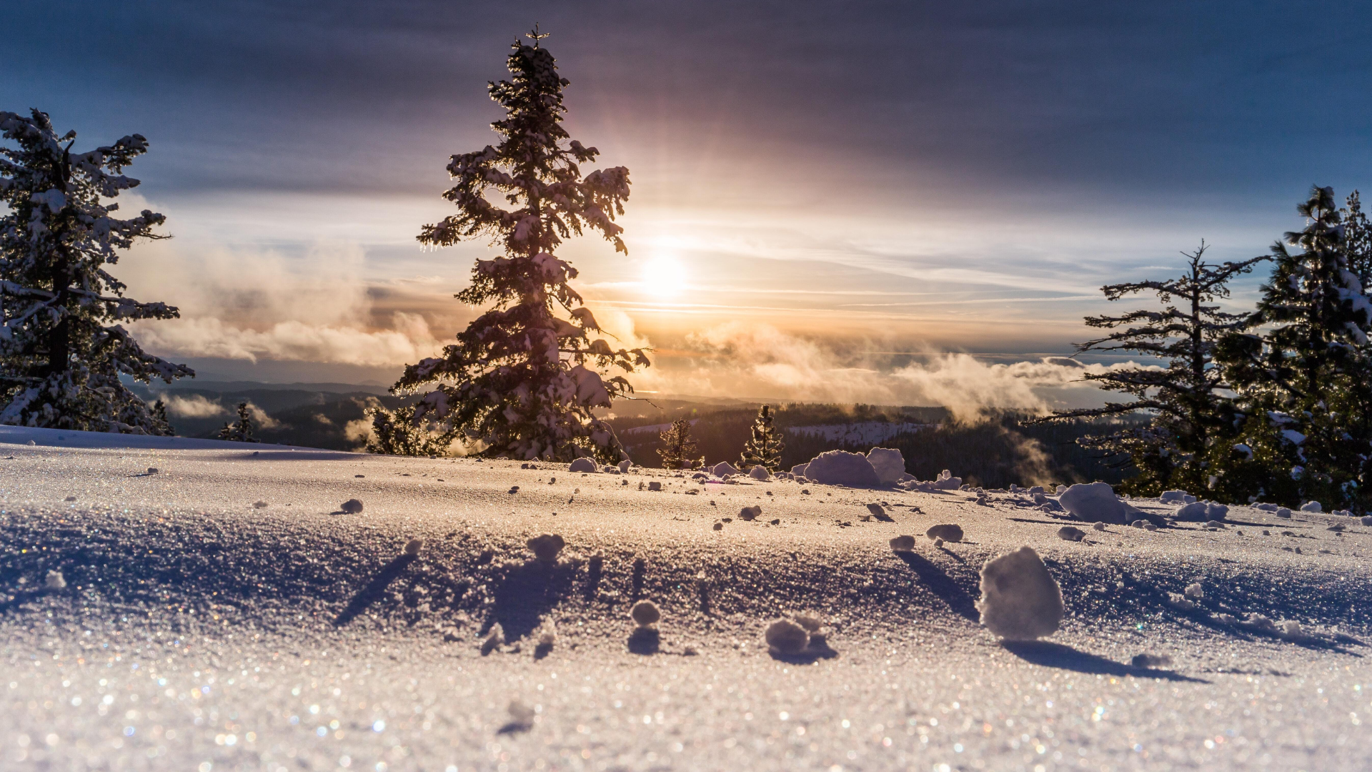 Winter Solstice