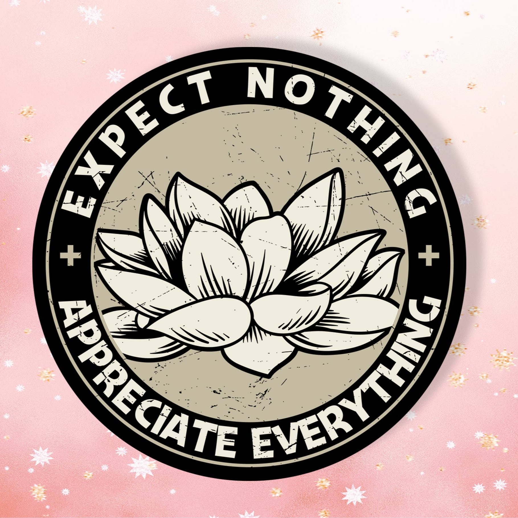 Expect Nothing Appreciate Everything Stickers