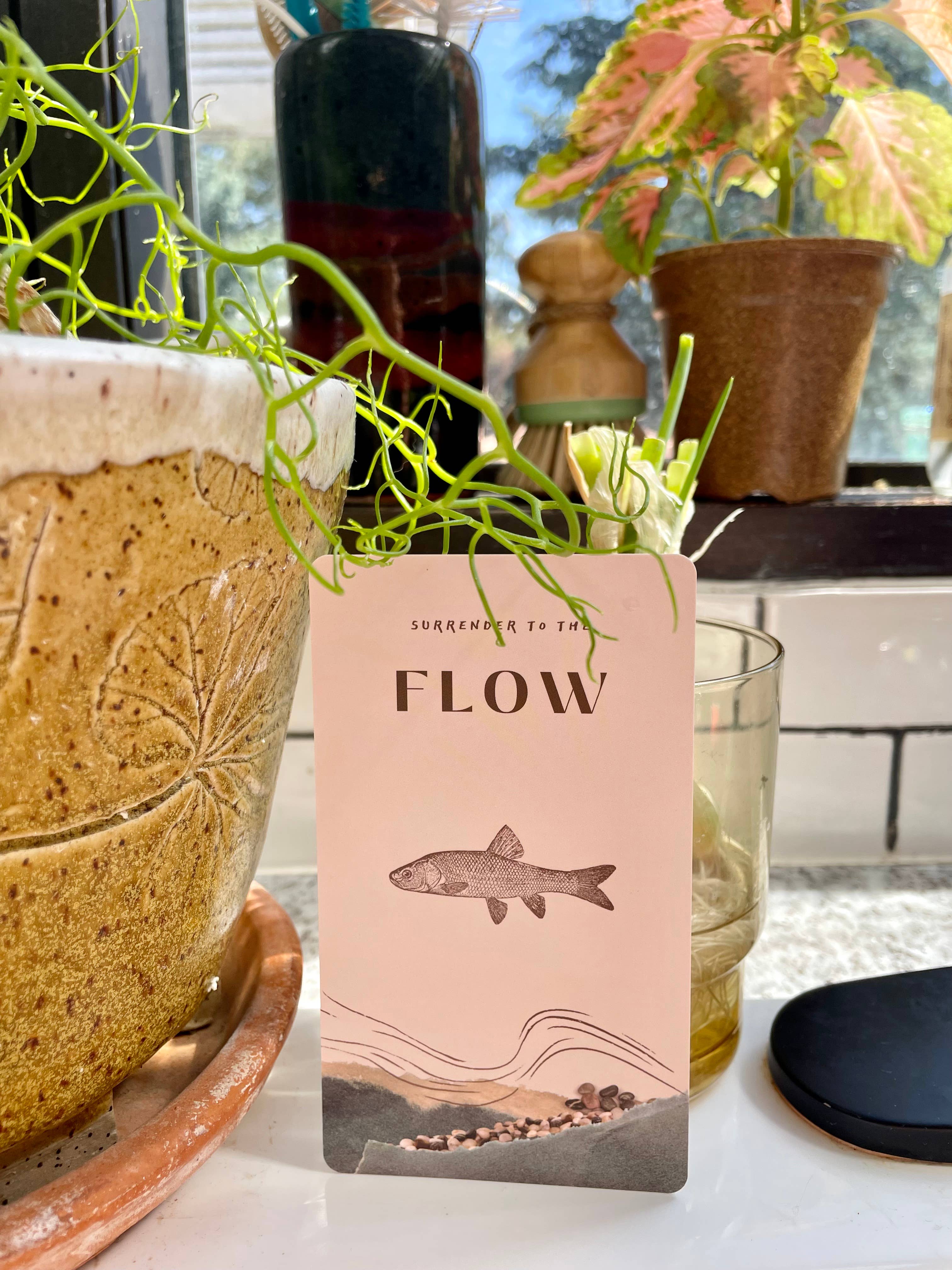 Oracle Deck & Poetry Guidebook | A Journey of Presence, Healing, and Connection