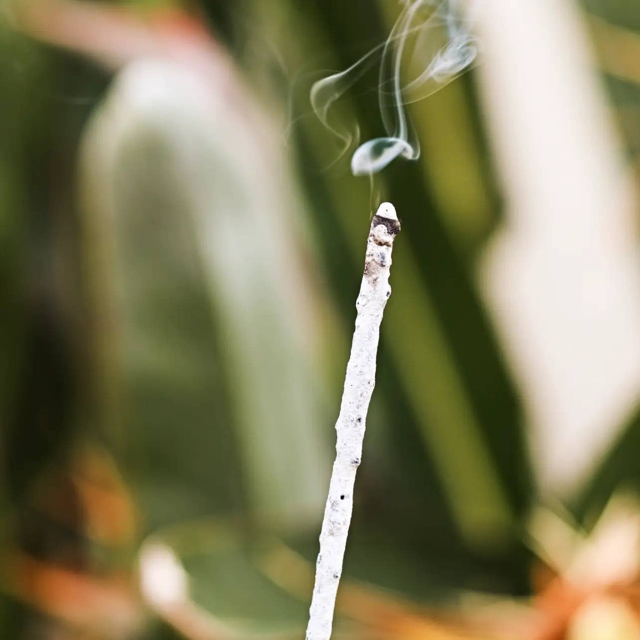 White Copal Incense Sticks (Rolled in Tulum) 20h+ burn time