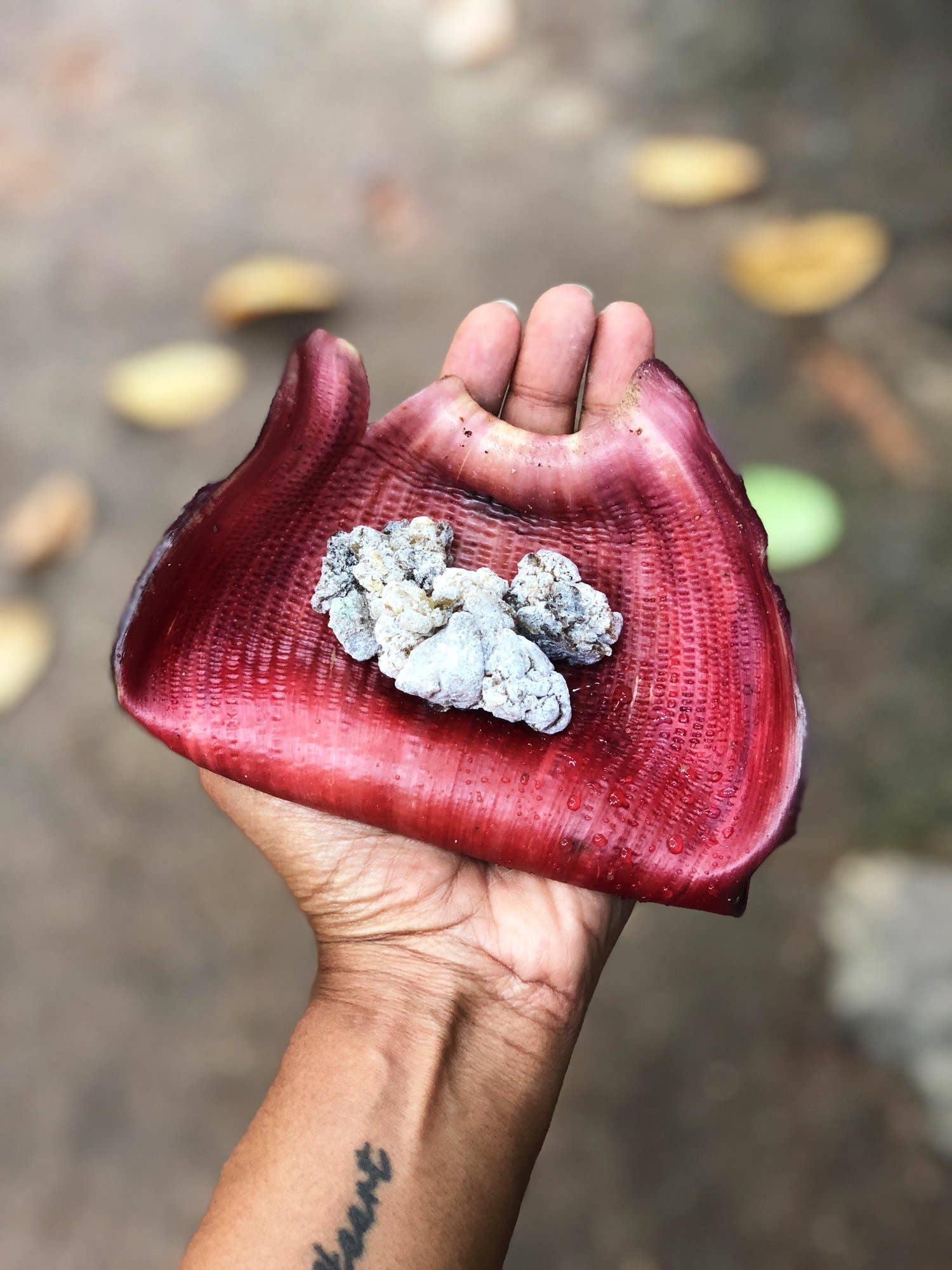 Natural Frankincense Incense Sticks