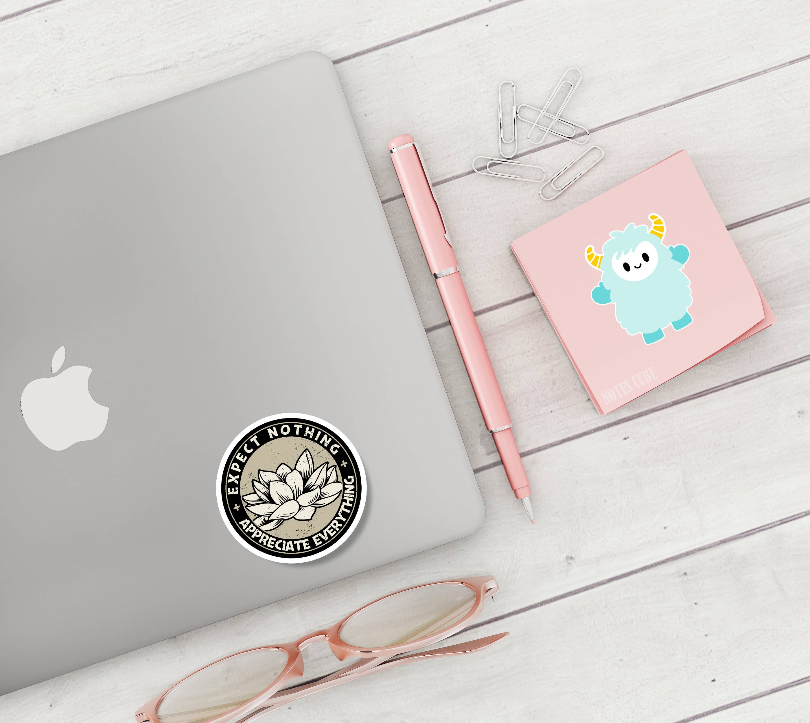 Expect Nothing Appreciate Everything Stickers