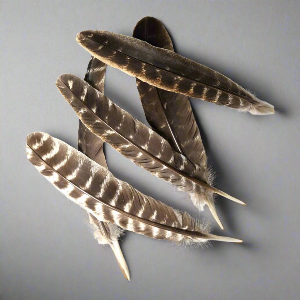 Feathers for Smudging