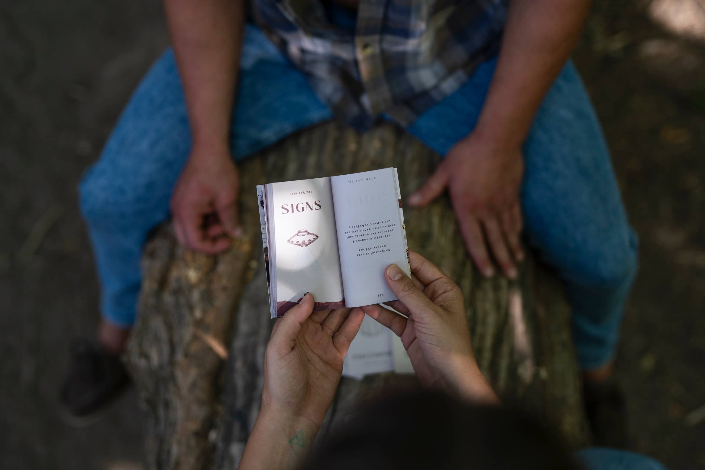 Oracle Deck & Poetry Guidebook | A Journey of Presence, Healing, and Connection