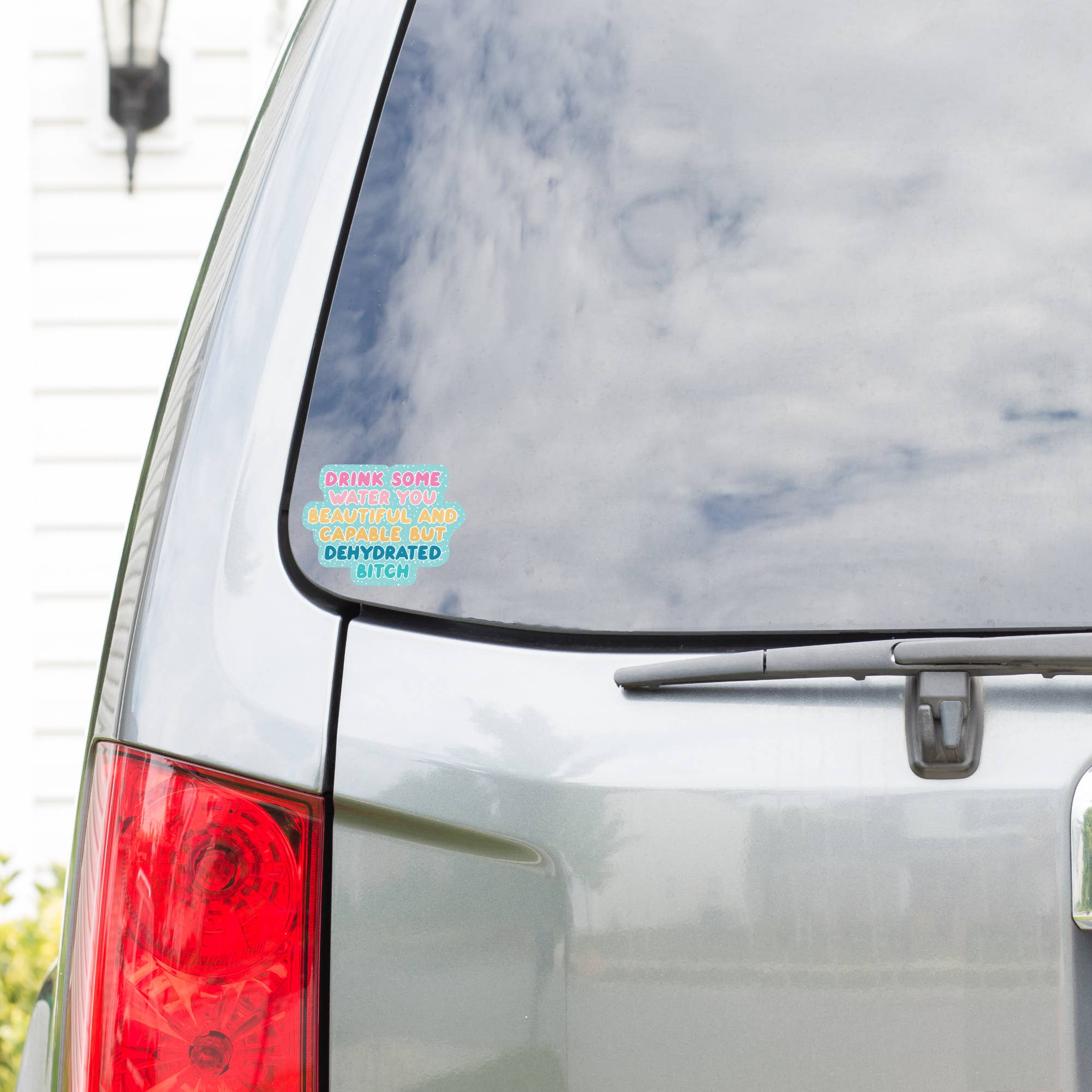 Dehydrated Bitch Vinyl Sticker