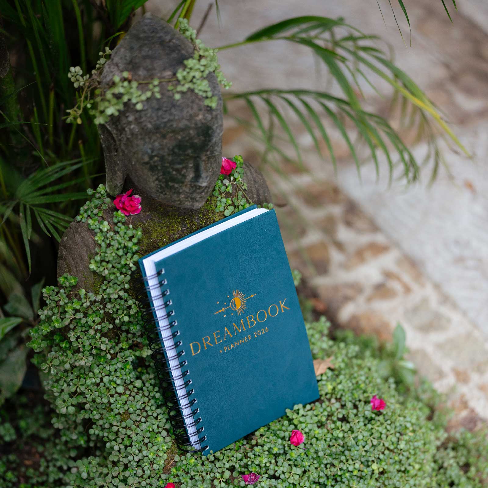 2026 Dreambook + Planner