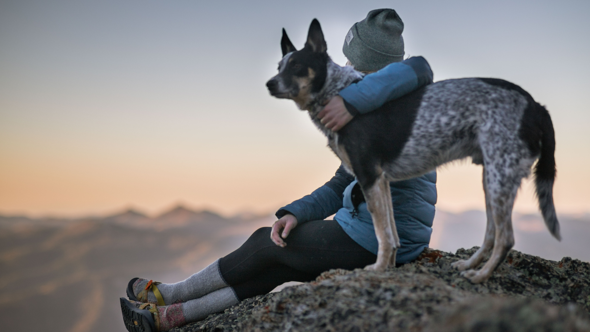The Dragontree Apothecary
