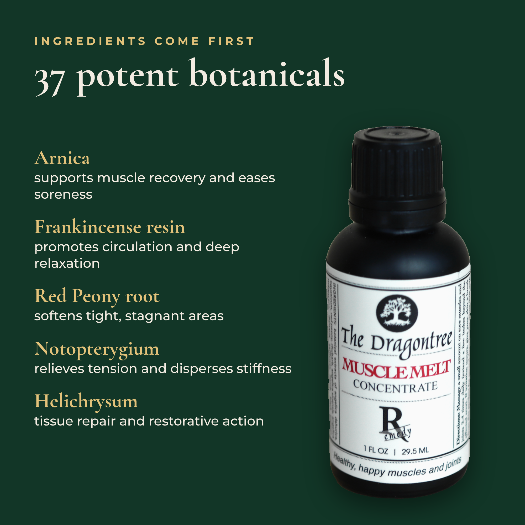 Muscle Melt Concentrate | Botanical Muscle Liniment