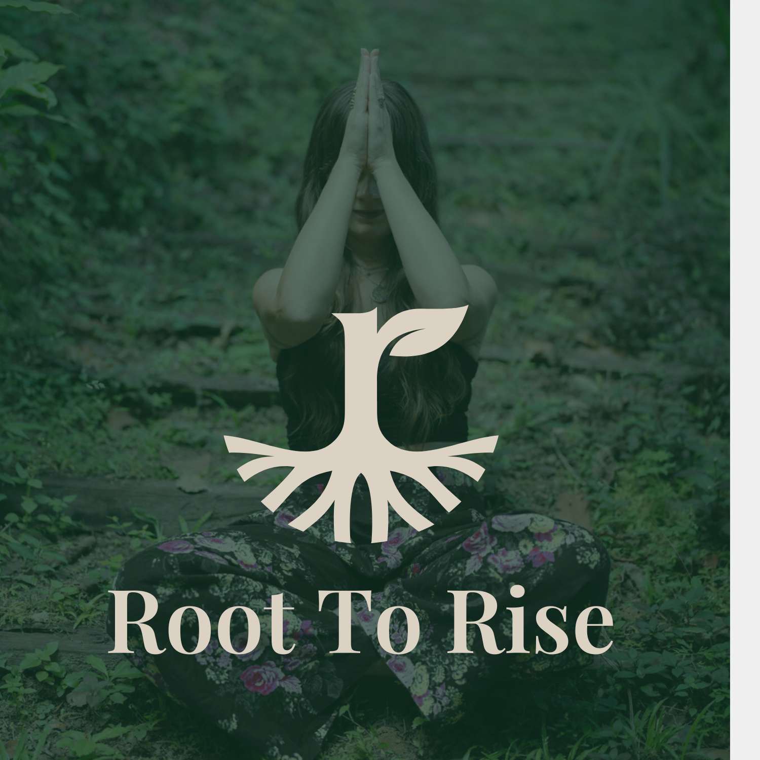 Root To Rise Guided Experience