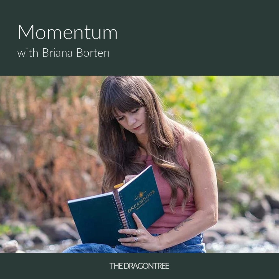 Momentum