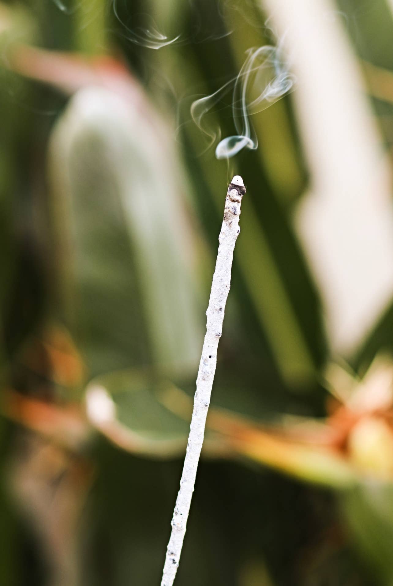 Pure White Copal Incense | Hand-Rolled in Tulum – 20h+ Burn
