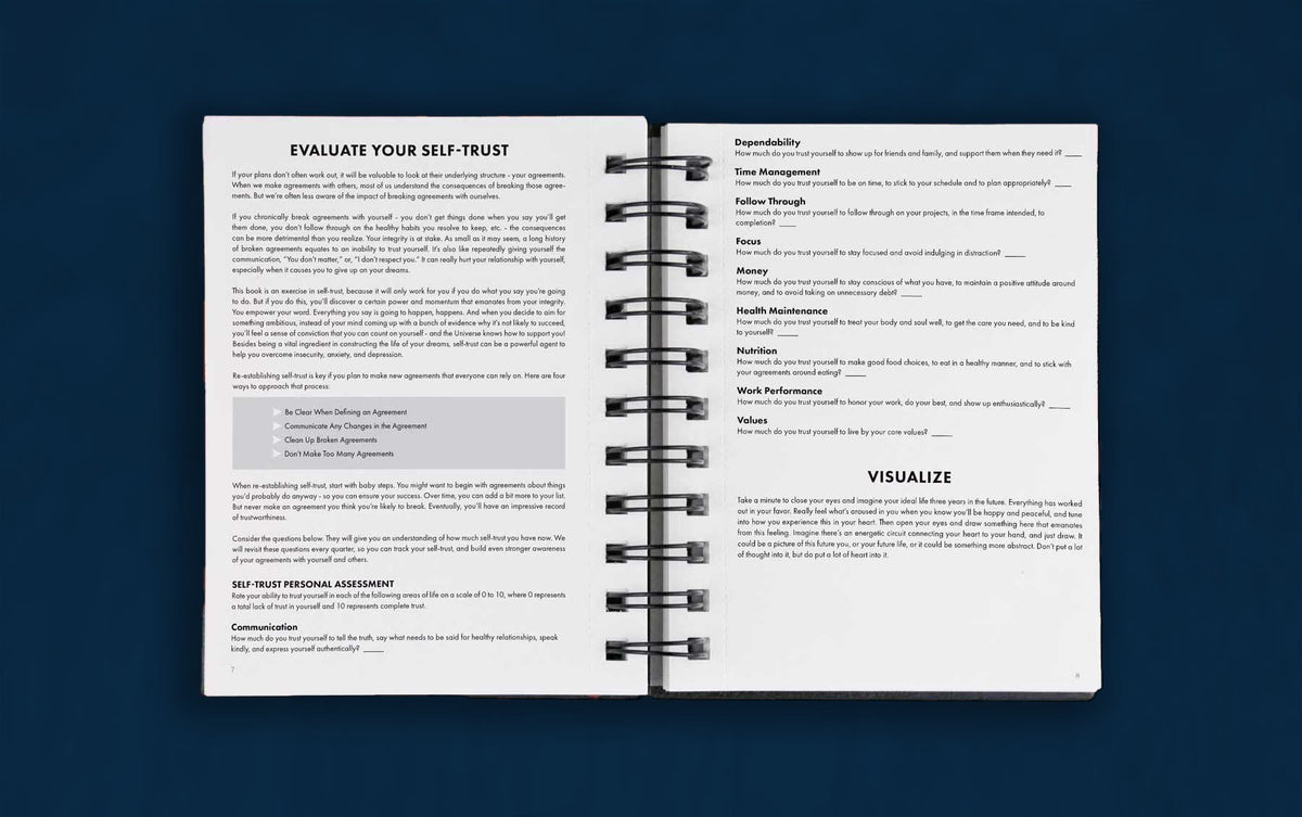 The self-trust assessment pages in the Dreambook