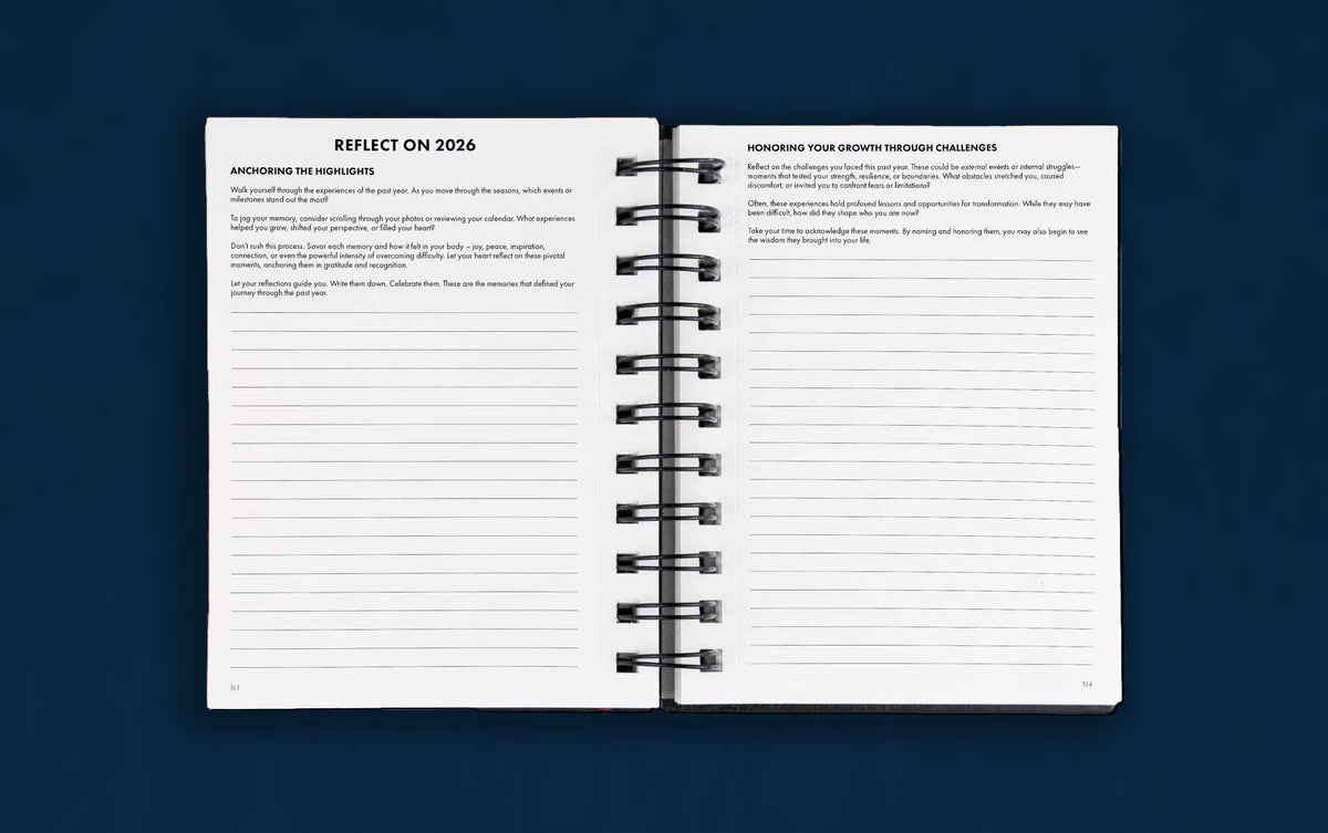 The focus and reflection pages in the Dreambook