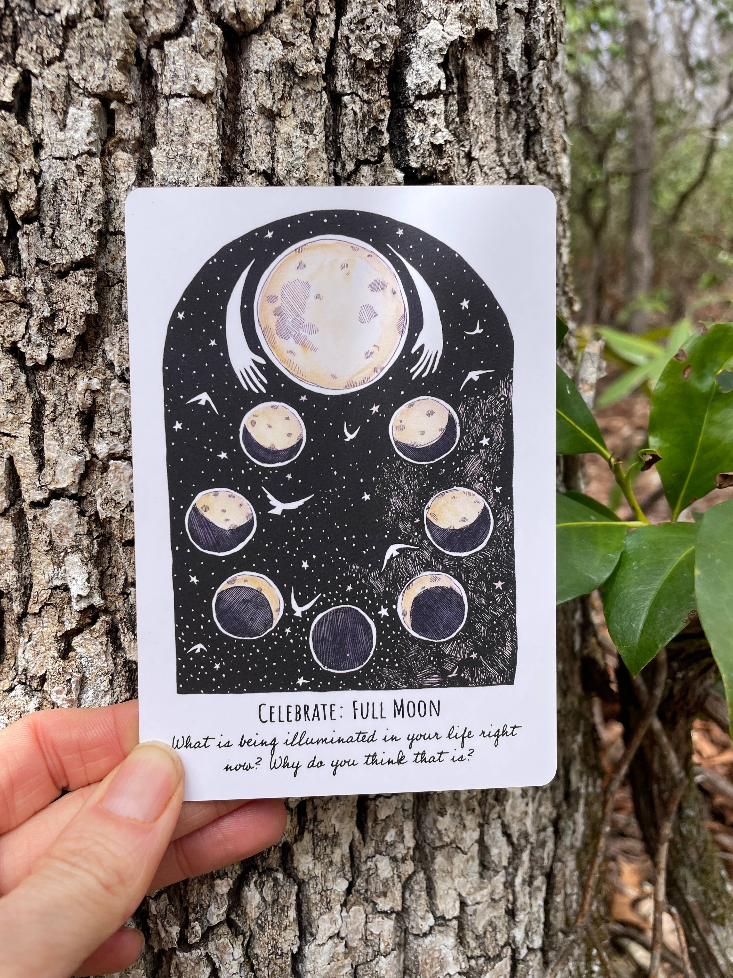 Phases and Forests Oracle Deck