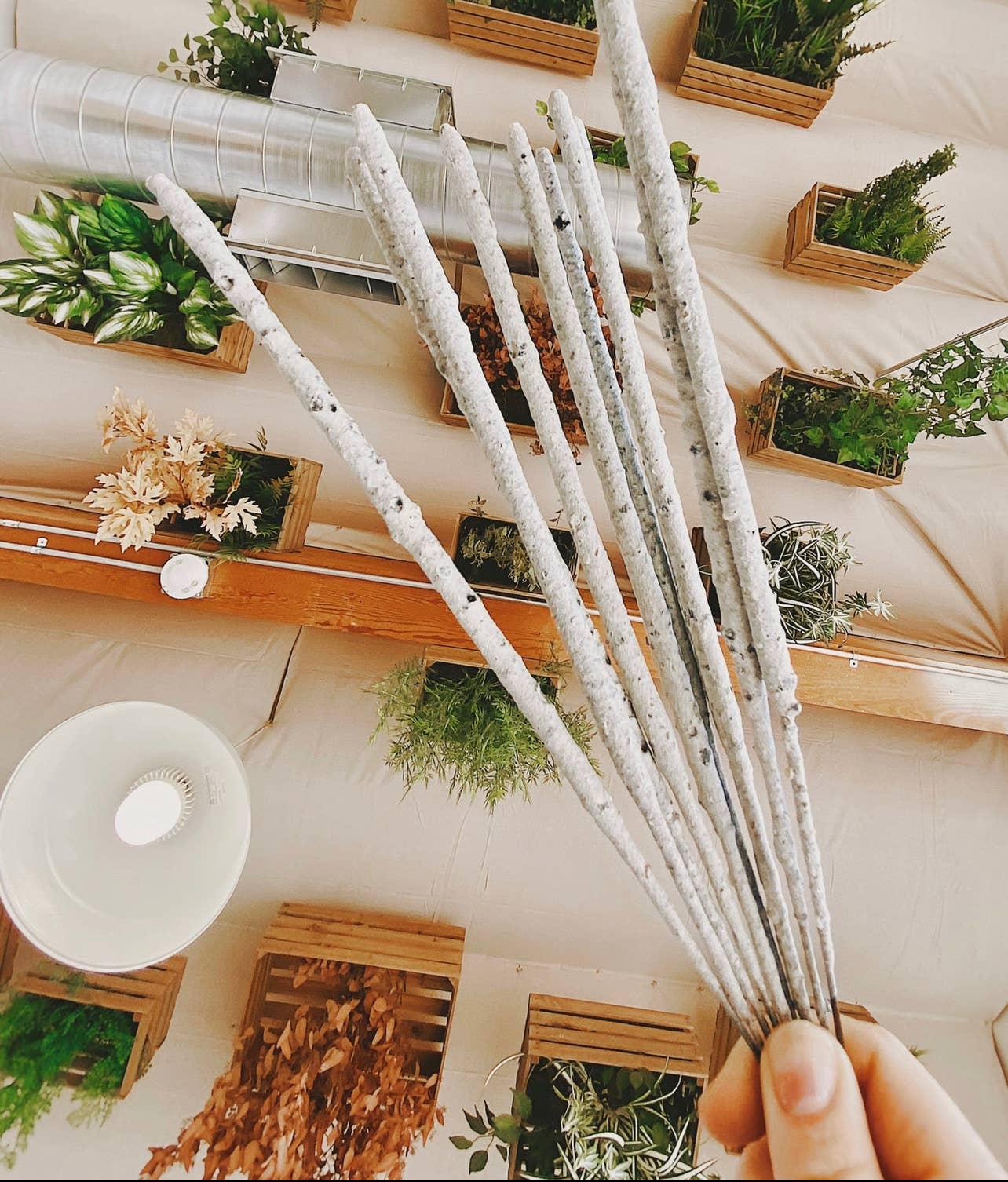 Pure White Copal Incense | Hand-Rolled in Tulum – 20h+ Burn