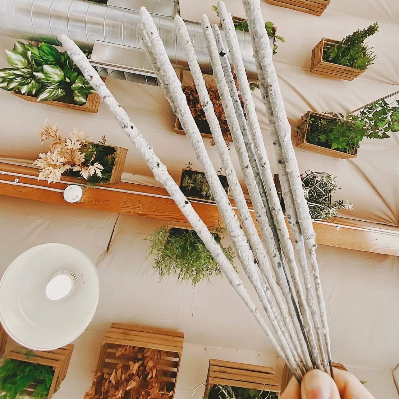 White Copal Incense Sticks (Rolled in Tulum) 20h+ burn time