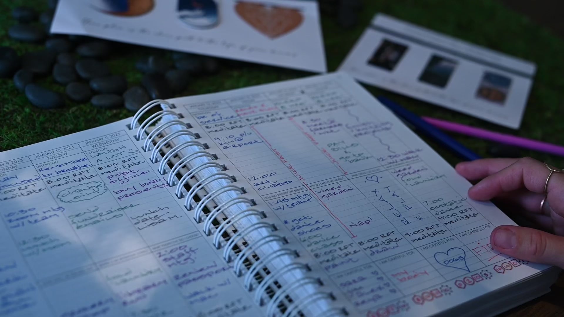 The Dragontree Apothecary