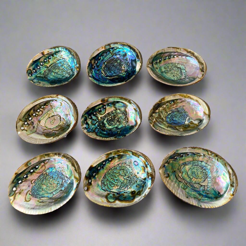 Abalone Shell Smudge Bowls (Medium)