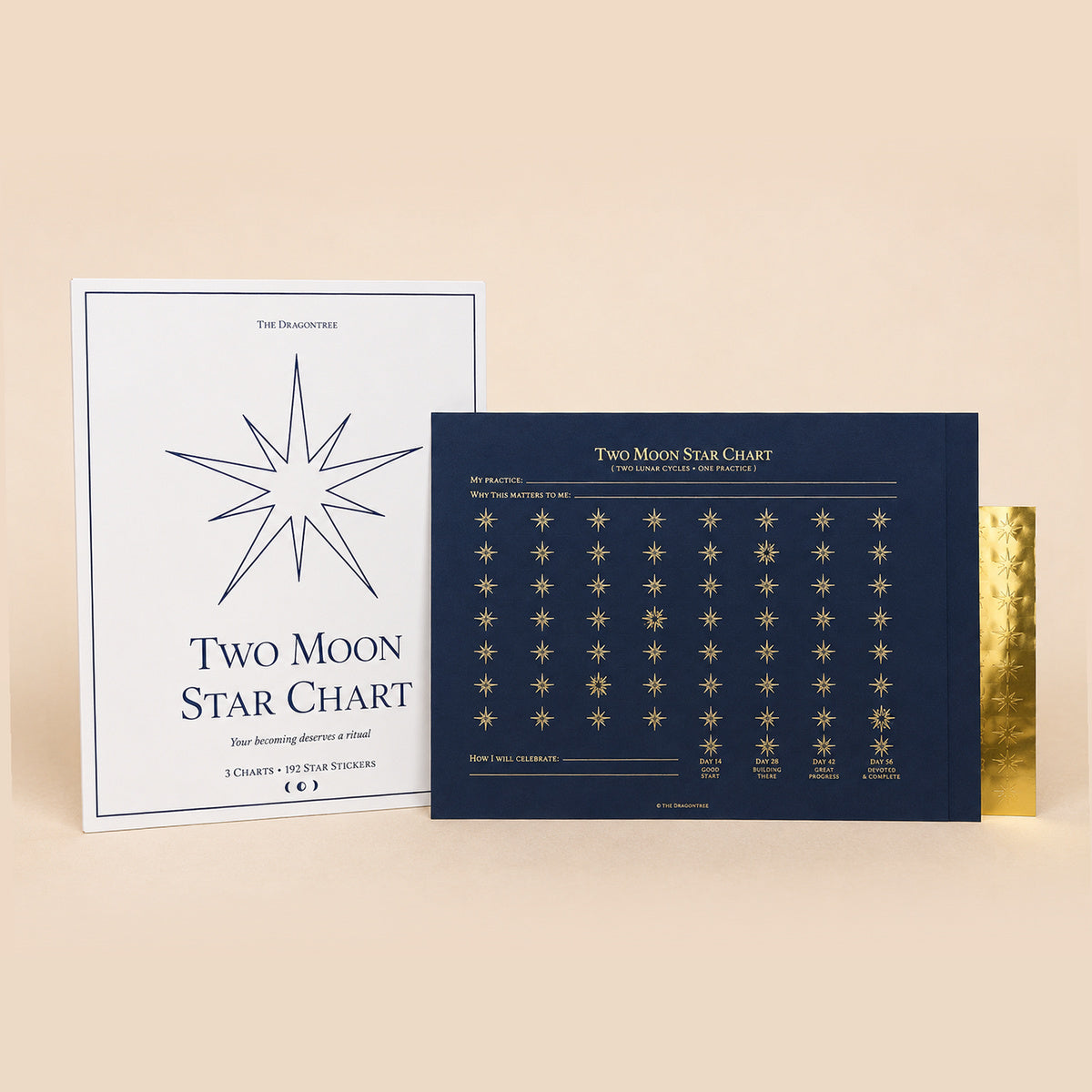 The Two Moon Star Chart